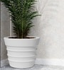White 21 Inch German Polymer Round Plant Container