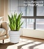 White 21 Inch German Polymer Round Plant Container