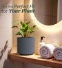 Grey German Polymer Round Planter Cilin 10 Inch