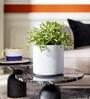 Marble White German Polymer Round Planter Cilin 10 Inch