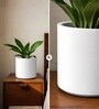 White German Polymer Round Planter Cilin 10 Inch