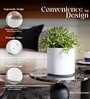 White German Polymer Round Planter Cilin 10 Inch