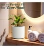 White German Polymer Round Planter Cilin 10 Inch