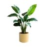 Beige German Polymer Round Planter Cilin 12 Inch