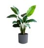 Grey German Polymer Round Planter Cilin 12 Inch