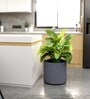 Grey German Polymer Round Planter Cilin 15 Inch