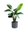 Grey German Polymer Round Planter Cilin 17 Inch