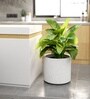 Marble White German Polymer Round Planter Cilin 17 Inch