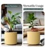 Beige German Polymer Round Planter Cilin 6 Inch