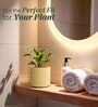 Beige German Polymer Round Planter Cilin 6 Inch