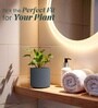 Grey German Polymer Round Planter Cilin 6 Inch