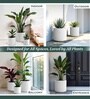 Marble White German Polymer Round Planter Cilin 6 Inch