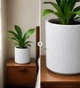 Marble White German Polymer Round Planter Cilin 6 Inch