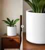 White German Polymer Round Planter Cilin 6 Inch