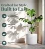 White German Polymer Round Planter Cilin 6 Inch