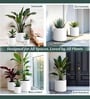 White German Polymer Round Planter Cilin 6 Inch