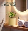 Beige German Polymer Round Planter Cilin 8 Inch