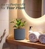 Grey German Polymer Round Planter Cilin 8 Inch