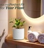 Marble White German Polymer Round Planter Cilin 8 Inch