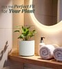 White German Polymer Round Planter Cilin 8 Inch