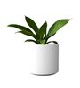 White German Polymer Round Planter Cilin 8 Inch