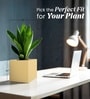 Beige German Polymer Square Planter Cubo 10 Inch