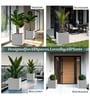 Marble White German Polymer Square Planter Cubo 10 Inch