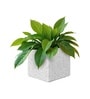 Marble White German Polymer Square Planter Cubo 10 Inch