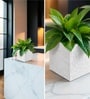 Marble White German Polymer Square Planter Cubo 10 Inch