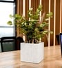 Marble White German Polymer Square Planter Cubo 10 Inch