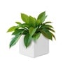 White German Polymer Square Planter Cubo 10 Inch