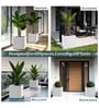 White German Polymer Square Planter Cubo 10 Inch