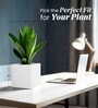 White German Polymer Square Planter Cubo 10 Inch