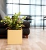 Beige German Polymer Square Planter Cubo 12 Inch
