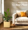 Beige German Polymer Square Planter Cubo 12 Inch
