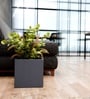 Grey German Polymer Square Planter Cubo 12 Inch