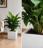 Marble White German Polymer Square Planter Cubo 12 Inch