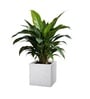 Marble White German Polymer Square Planter Cubo 12 Inch