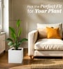 White German Polymer Square Planter Cubo 12 Inch
