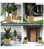 Beige German Polymer Square Planter Cubo 15 Inch