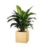 Beige German Polymer Square Planter Cubo 15 Inch