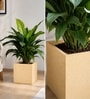 Beige German Polymer Square Planter Cubo 15 Inch