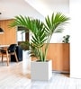 White German Polymer Square Planter Cubo 15 Inch