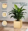 Beige German Polymer Square Planter Cubo 17 Inch
