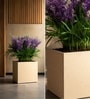 Beige German Polymer Square Planter Cubo 17 Inch