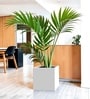 White German Polymer Square Planter Cubo 17 Inch