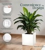 White German Polymer Square Planter Cubo 17 Inch