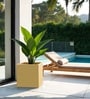 Beige German Polymer Square Planter Cubo 20 Inch