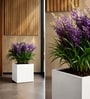 White German Polymer Square Planter Cubo 20 Inch