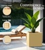 Beige German Polymer Square Planter Cubo 24 Inch